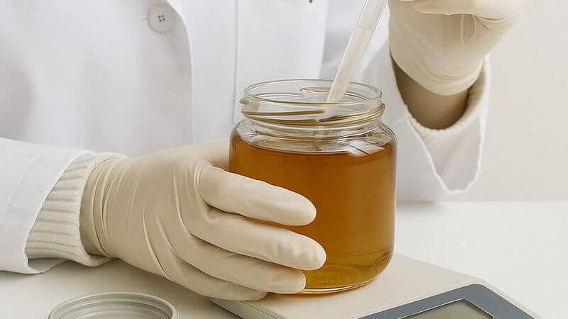 Panduan Madu Lokal: Lebah & Peternakan Alami