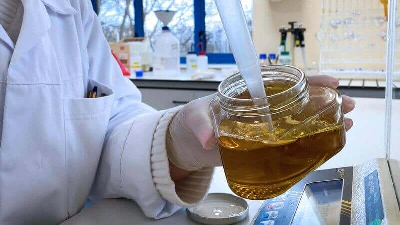 Pengujian Kualitas Madu: Keaslian & Kemurnian